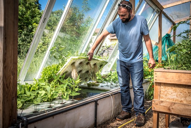 AQUAPONIE_antigaspi-blog_11