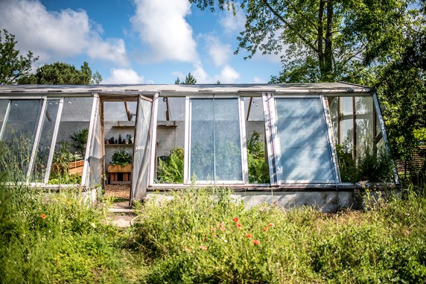 AQUAPONIE_antigaspi-blog_13