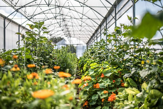 AQUAPONIE_antigaspi-blog_2