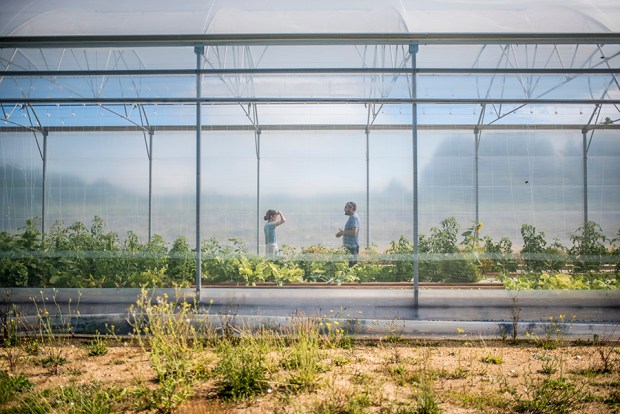 AQUAPONIE_antigaspi-blog_3