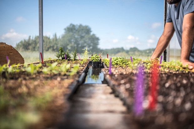 AQUAPONIE_antigaspi-blog_4