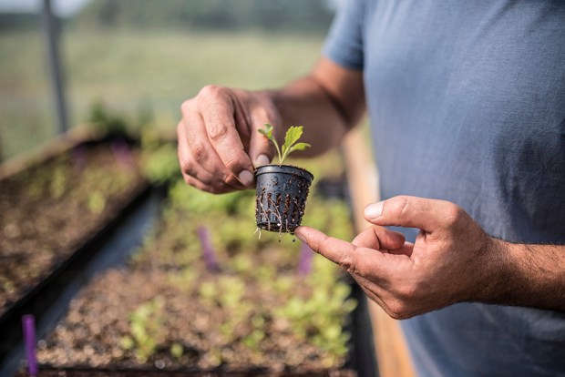 AQUAPONIE_antigaspi-blog_5