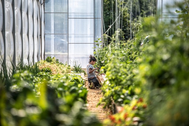 AQUAPONIE_antigaspi-blog_6