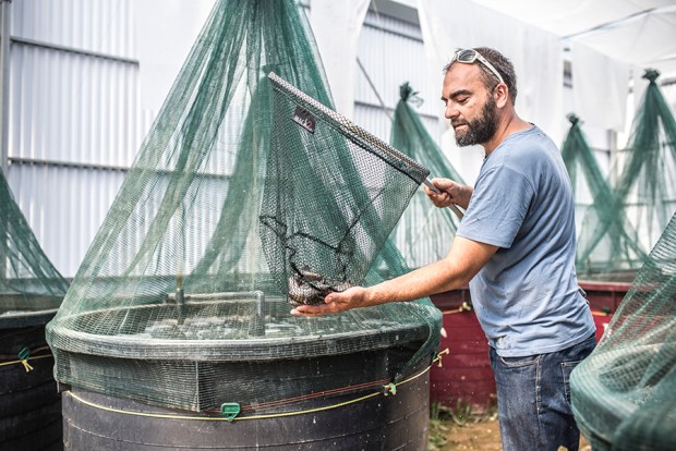 AQUAPONIE_antigaspi-blog_8