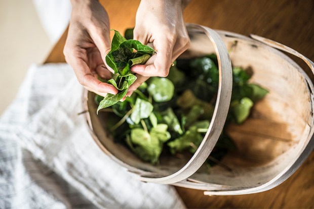 Photographies : OLIVIER COCHARD