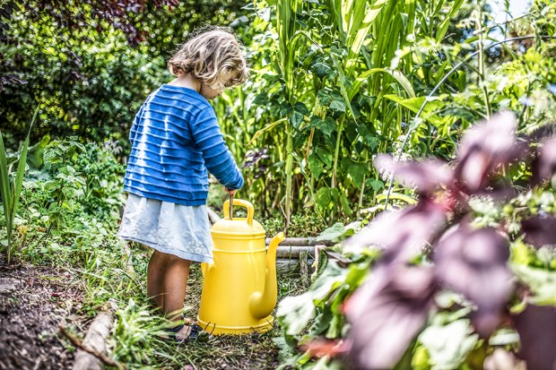 PIPI-antigaspi-blog_3