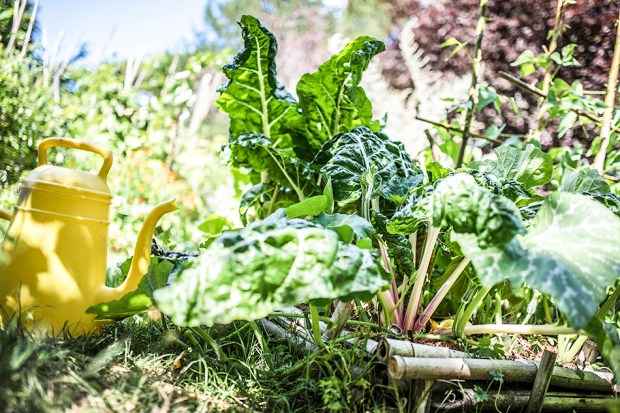 PIPI-antigaspi-blog_5