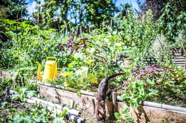 PIPI-antigaspi-blog_7