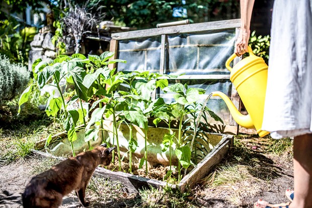 PIPI-antigaspi-blog_8