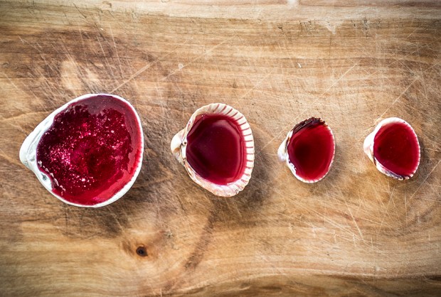 DIY BISCUITS-antigaspi-blog_13