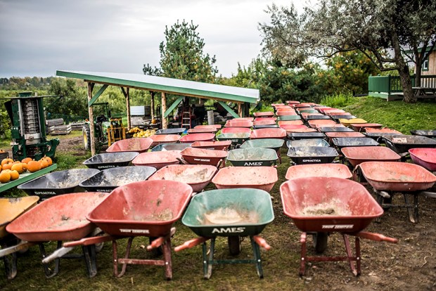 RECETTECOURGE-antigaspi-blog