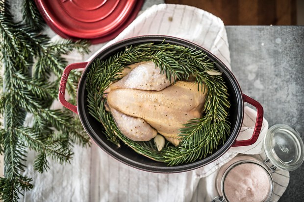 CASENTLESAPIN_1-antigaspi-blog