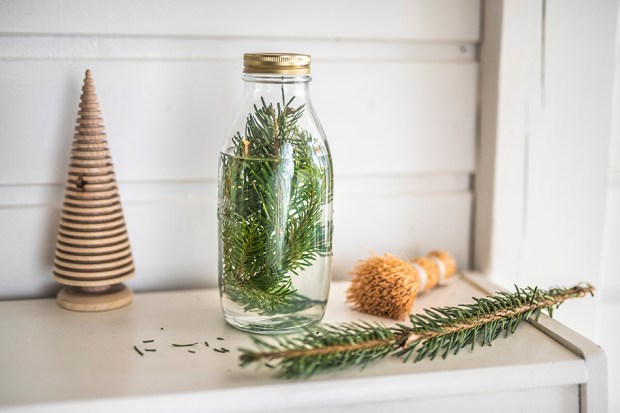 CASENTLESAPIN_5-antigaspi-blog