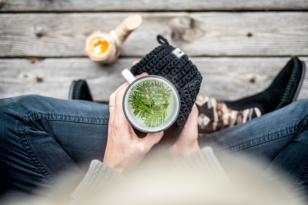 CASENTLESAPIN_7-antigaspi-blog