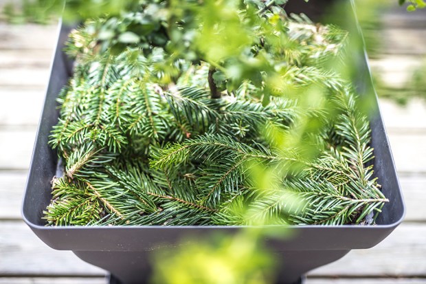 CASENTLESAPIN_8-antigaspi-blog