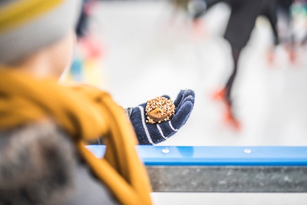 BARRESENERGETIQUES_1-antigaspi-blog