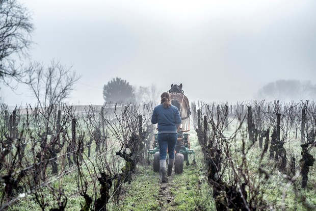 SAUTERNE_-antigaspi-blog14