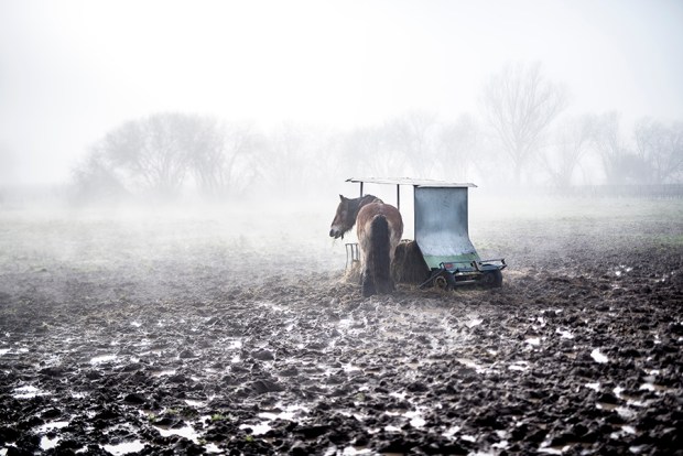 SAUTERNE_-antigaspi-blog16