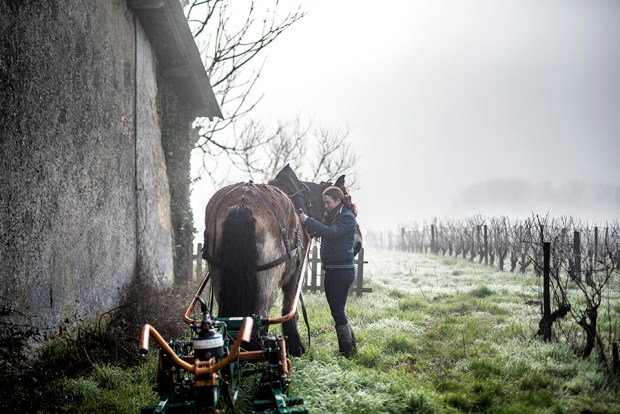 SAUTERNE_-antigaspi-blog8