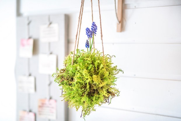 BOUQUETS PRINTEMPS_4-antigaspi-blog