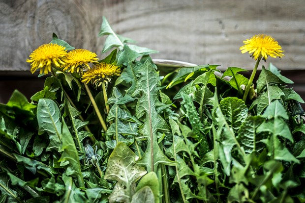 DETOX PRINTEMPS-antigaspi-blog