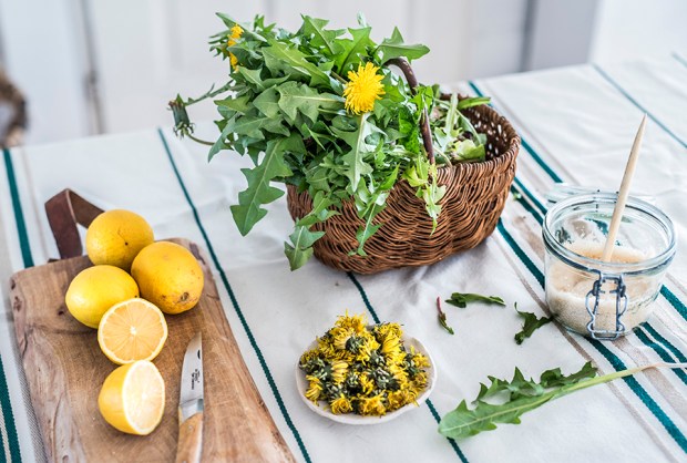 DETOX PRINTEMPS_2-antigaspi-blog