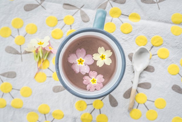 DETOX PRINTEMPS_6-antigaspi-blog