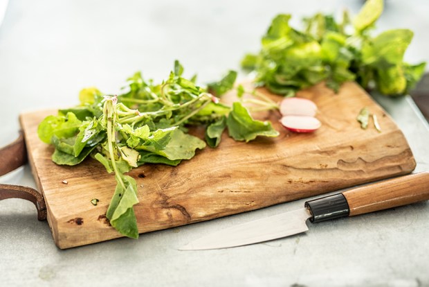 3 DEJEUNERS AGITES DU BOCAL_antigaspi-blog_2