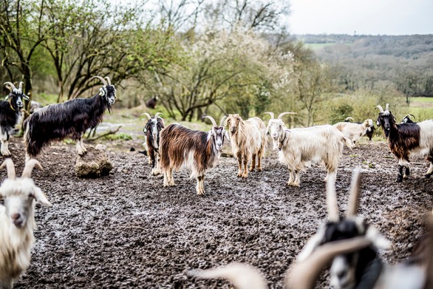 AGRICULTURE POETIQUE