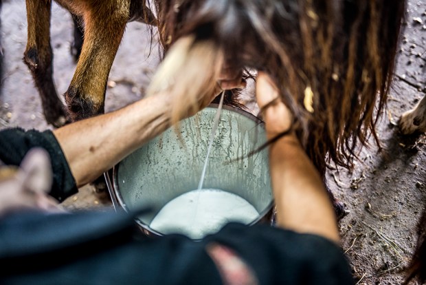 AGRICULTURE POETIQUE_antigaspi-blog_10