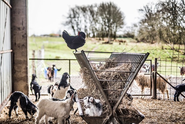 AGRICULTURE POETIQUE_antigaspi-blog_15