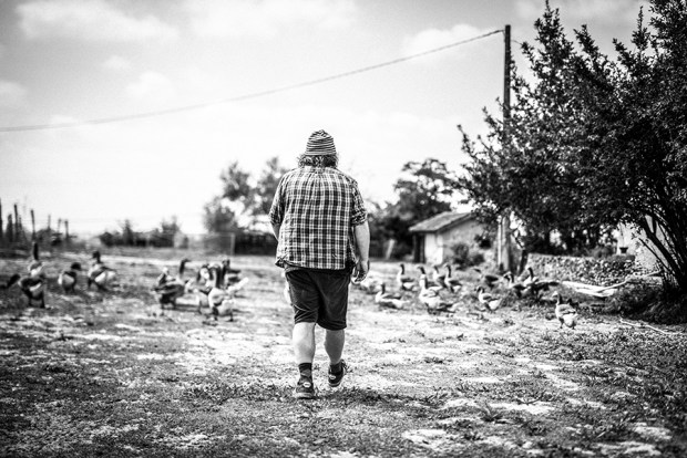 THE INSPECTOR CLUZO_6_antigaspi-blog.JPG