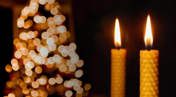 395046_435521243168243_1779657492_n_0