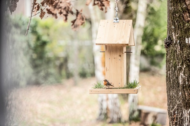 MANGEOIRE12-antigaspi-blog