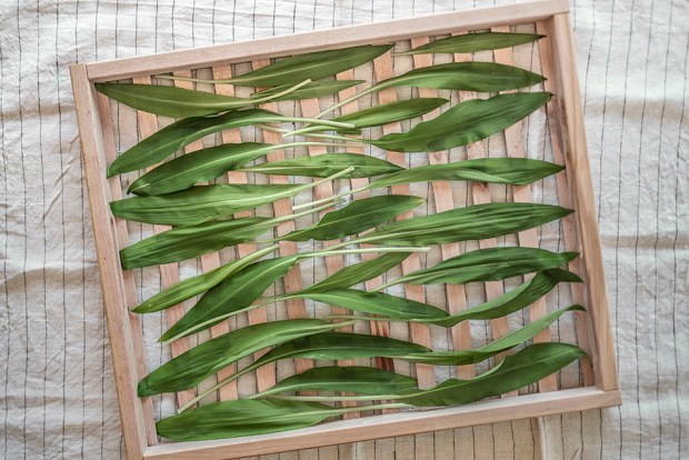 AILDESOURS-antigaspi-blog