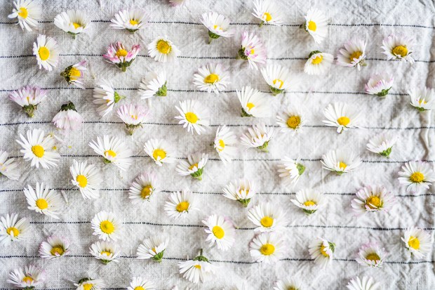 HUILES_2-antigaspi-blog