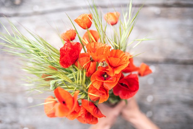 COQUELICOT-lacabane-antigaspi-blog_6