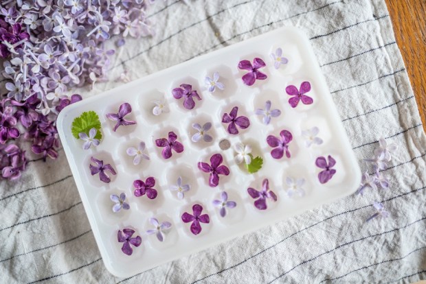 LILA_1-antigaspi-blog