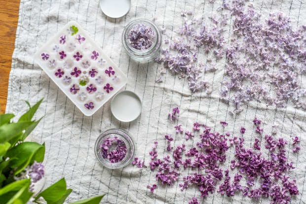 LILA_2-antigaspi-blog