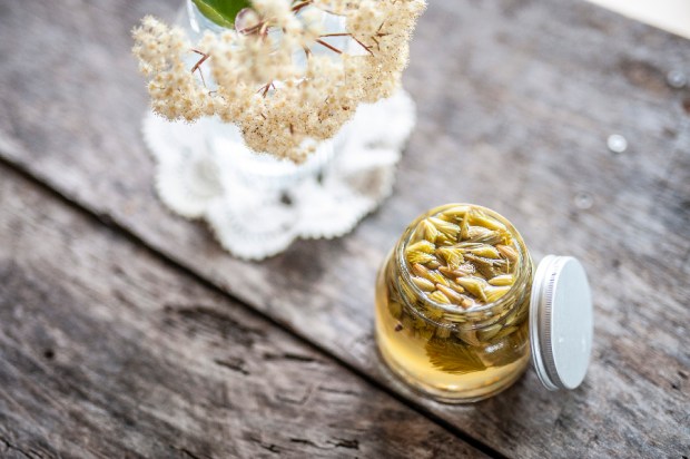 SAPIN_3-antigaspi-blog