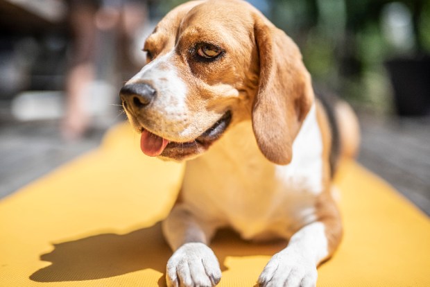 10 commandements canicule-antigaspi-blog_11