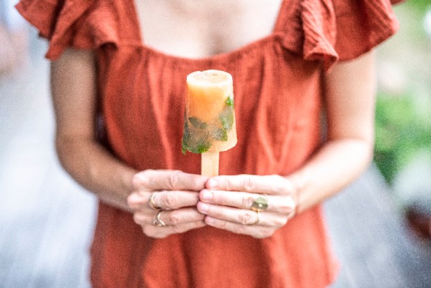 GLACES MAISON_10 antigaspi-blog