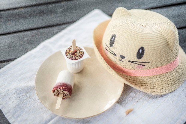 GLACES MAISON_2 antigaspi-blog